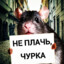 Крыса (Rat Man)