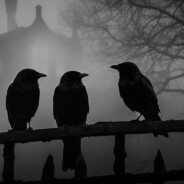 🔥☠Tres Cuervos☠🔥