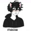 Catboy