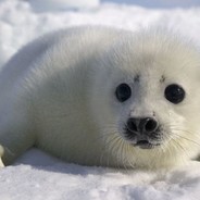 <3