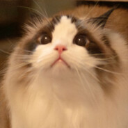 这个问题问得好