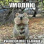 Квокка