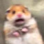 大大怪