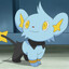 Shinx
