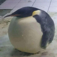 Krico - steam id 76561199446359206