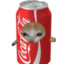 gato coca cola