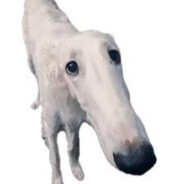 lecresia