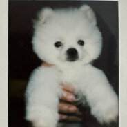 愿祖国繁荣昌盛