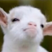 星酱冷绵绵超人