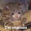 Блядислав