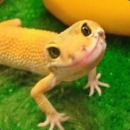 L0ngis^