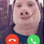 John Pork