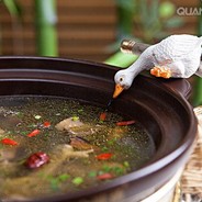 会飞的小鸟被吃了