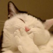 you