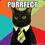 Purrfected
