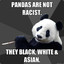 Racist Panda