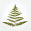 ferny_the_fern