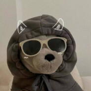 谁念西风独自凉，萧萧黄叶闭疏窗