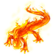 Salamander21