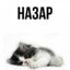 аналитик титек