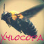 Xylocopa