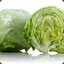 Lettuce