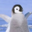 皇帝ペンギン