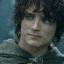 Frodo Baggins of the Shire