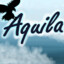 Aquila_trin