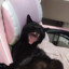 Black_labradors