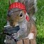 Thug Squirrel