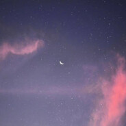 Hinhin不是小傻子