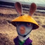 sensei bun