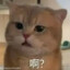 CHUENG13