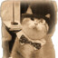 Fancy_cat