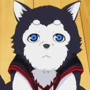 Squtee avatar