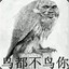 奋斗163223534
