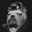 Bulldog
