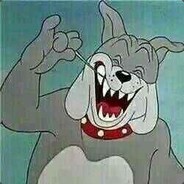 虐猫狂魔斯派克