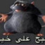 الأحمق الذي يقرأه