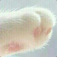 中华神药板蓝根