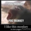 Monky