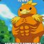 lvl100Torchic