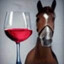 WhyHorse