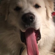 BlackPeach - steam id 76561197961445083