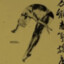 我是热币