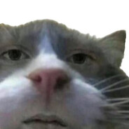 Meow Meow N***A