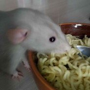 Riini