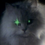 Evil Ass Psychosis Cat