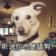 阿育真的很严格